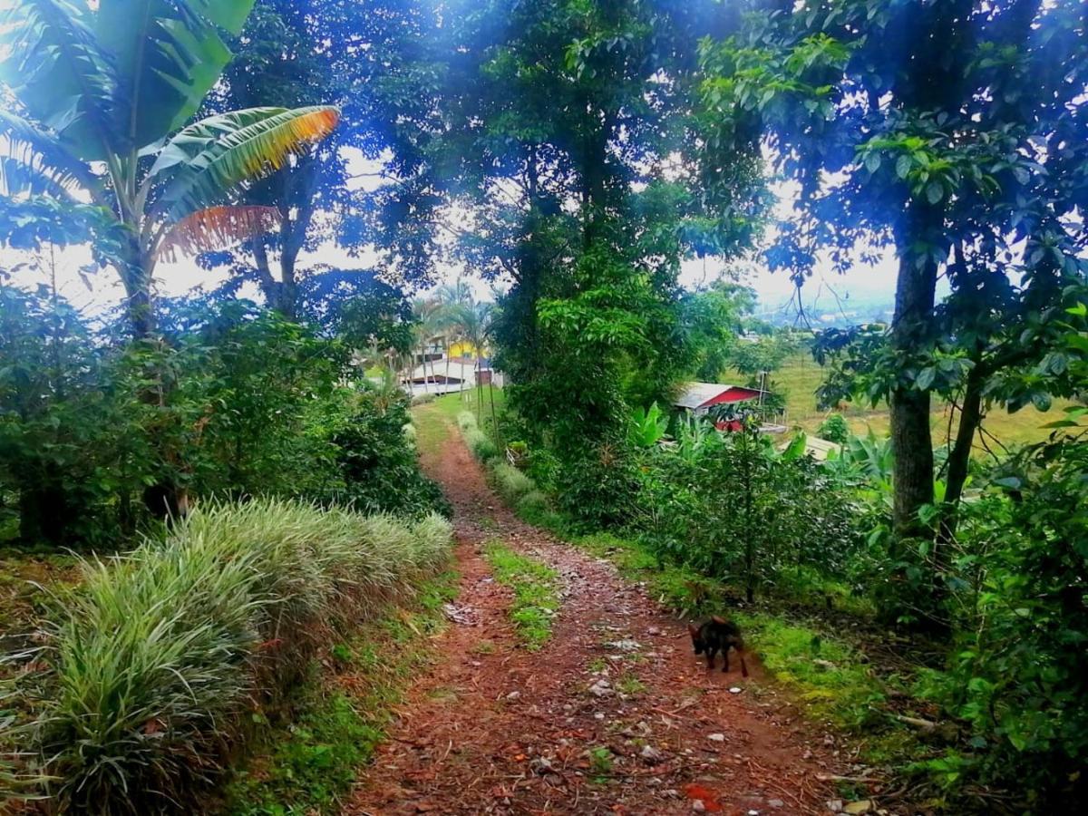 Хостел Finca Turistica Santa Clara Каларка Экстерьер фото